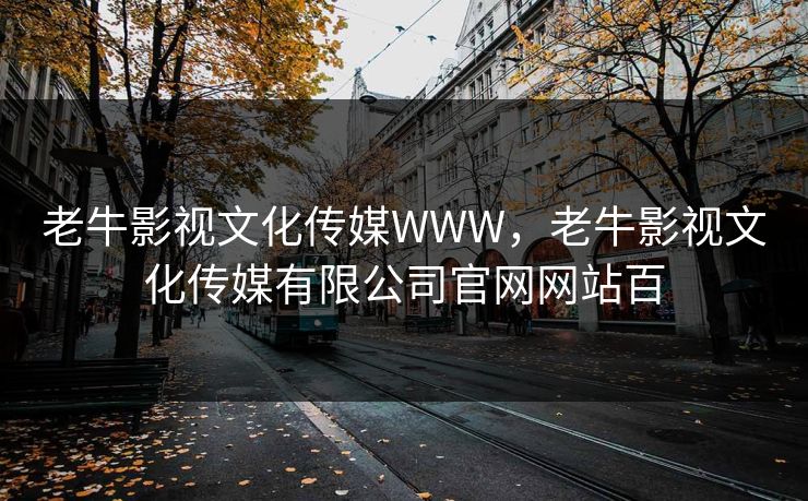 老牛影视文化传媒WWW，老牛影视文化传媒有限公司官网网站百